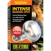 Exo Terra Reptile Intense Basking Spot Light Increase Luminous Intensity