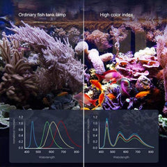 B&K Upgraded Foldable LED Aquarium 8W Clip-on Lamp Double head 27cm