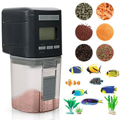 Automatic Fish Feeder