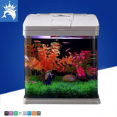 Crystal Clear Glass Aquarium Starter Kit Eco-Cycle Filtration with LED Lighting