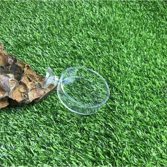 Transparent Smooth Durable Crystal Shrimp Food Dishes Feeding Bowl