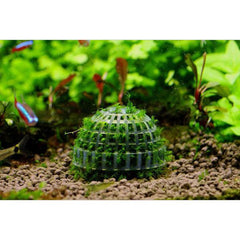 Natural Aquatic Bio Moss Ball
