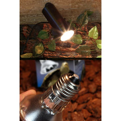 NOMOY UVB Promote Vitamin Synthesis Full Spectrum Sun Light Halogen Basking Lamp Basking Lamp Simulate the Sunshine More Natural