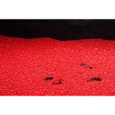 Red Cherry Sand 1 kg