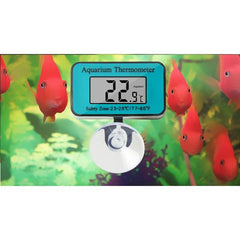 Blue Digital Aquarium Thermometer