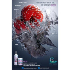 CZ Aqua Bacta 10 Capsules Cure Bacterial Infection Fish Parasites Swollen Lips Wound