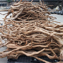 Large Driftwood for Aquarium Decorations Natural Assorted Branches Bearded Dragon