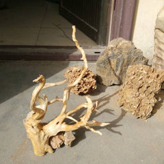 Large Driftwood for Aquarium Decorations Natural Assorted Branches Bearded Dragon