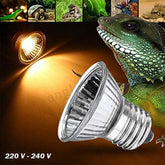 B&K –Turtle Warming Basking Lamp 25W, 50W and 75W UVA + UVB Full Spectrum Sun Lamp Sunbathe Heat Lamp/Bulb/Light for Reptiles Tortoise