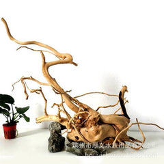 Large Driftwood for Aquarium Decorations Natural Assorted Branches Bearded Dragon