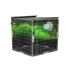 Transparent Fish Breeding Box-Isolation (3 Sizes)