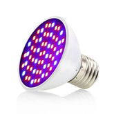 Double Heads Clip with Switch Extension Bulb Holder Socket for Led Grow Light