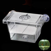 Aquarium Fish Tank Small Hatchery Breeder Box 12 x 7 x 7cm