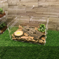 Live Adult Beetle Breeding Box Pet Box Acrylic Spider Gecko Stag Landscaping Crawling B&K