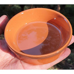 Reptile Feeding Bowl Red Colour