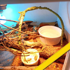 Jungle Vines Flexible Pet Habitat Decor, Perfect for Chameleons Snakes Lizards