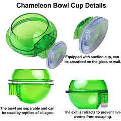 Chameleon Bowl, Reptile Feeding Feeder, Worm Live Fodder Container Water Dish Gecko Ledge Suction Cup Feeder Chameleon Supplies Accessories for Gecko Lizard Bearded Snakes Dragon