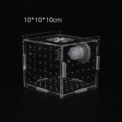 Transparent Fish Breeding Box-Isolation (3 Sizes)