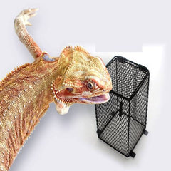 Pet Reptile Anti-Scald Lamp Mesh Cover Round Square Day Night Ceramic Light Bulb Heating Lampshade