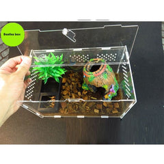 Live Adult Beetle Breeding Box Pet Box Acrylic Spider Gecko Stag Landscaping Crawling B&K
