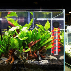 Mini Aquarium Heater 20W / 100W