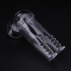 Planaria Trap Worm Catcher