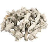 High Quality Coral Filter Material Rock Bone - 500 gms