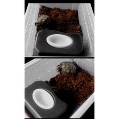 Reptile Plastic Cave with Ceramic Bowl