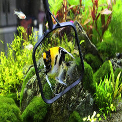 Aquarium Fish Net Lightweight - 4 sizes