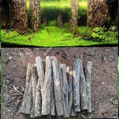 Aquarium Decoration Betta Log Champagne Tree Trunk Decor Stone Base