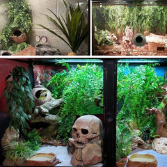 Leopard Gecko Coconut Husk Hut Reptile Habitat Accessories Hideout Hole Hanging Apply to Amphibians and Small Animals