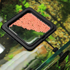 Fish Feeding Ring Square and Round with Suction Cup Black