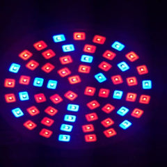 Double Heads Clip with Switch Extension Bulb Holder Socket for Led Grow Light