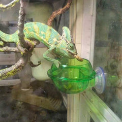 Chameleon Bowl, Reptile Feeding Feeder, Worm Live Fodder Container Water Dish Gecko Ledge Suction Cup Feeder Chameleon Supplies Accessories for Gecko Lizard Bearded Snakes Dragon