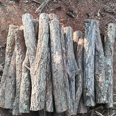 Aquarium Decoration Betta Log Champagne Tree Trunk Decor Stone Base 1Kg