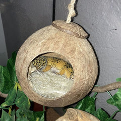 Leopard Gecko Coconut Husk Hut Reptile Habitat Accessories Hideout Hole Hanging Apply to Amphibians and Small Animals