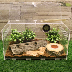 Live Adult Beetle Breeding Box Pet Box Acrylic Spider Gecko Stag Landscaping Crawling B&K