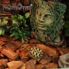 Organic Bark Chips Expandable Substrate Block for Reptiles, Snakes, Tortoise, and Amphibians, Natural Fiber Free Husks, Clean Breeding 650g