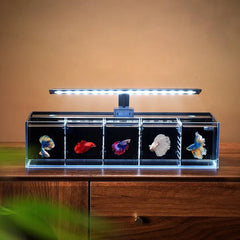 YEE fish tank with divider 50*16*12cm SET (Light)