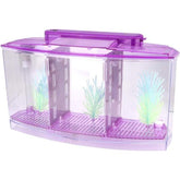 Isolation Acrylic Small Aquarium with 2 Color Lighting