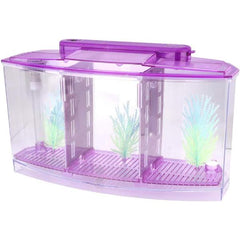 Isolation Acrylic Small Aquarium with 2 Color Lighting