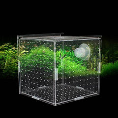 Transparent Fish Breeding Box-Isolation (3 Sizes)