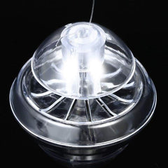 Clear Snail Trap for Planarian Leech