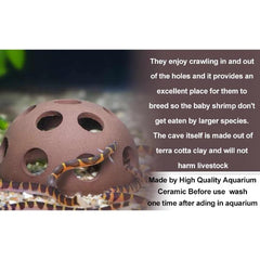 Shrimp Hide Half Ball 5.5cm