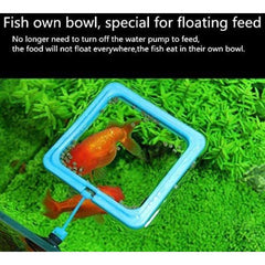Feeding Ring Aquarium Fish Feeding Ring Practical Floating Food Square Circle Square and Round with Suction Cup Circle and Square