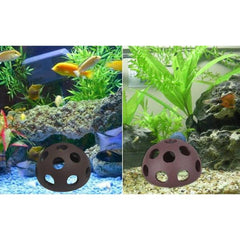 Shrimp Hide Half Ball 5.5cm