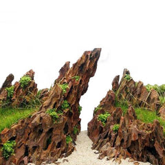 Natural Raw Dragon Rock Fish Landscape Rockery Aquarium Ornamental Plants Landscape Water Grass