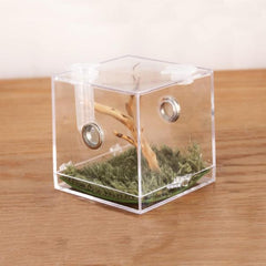 Spider Micro Big Habitat Small Pet Insect Breeding Box 360 Degree High Transparent