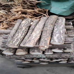 Aquarium Decoration Betta Log Champagne Tree Trunk Decor Stone Base