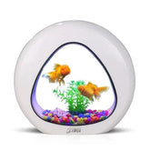 Small Desktop Aquarium Creative Tank with LED Lighting 2 Sizes